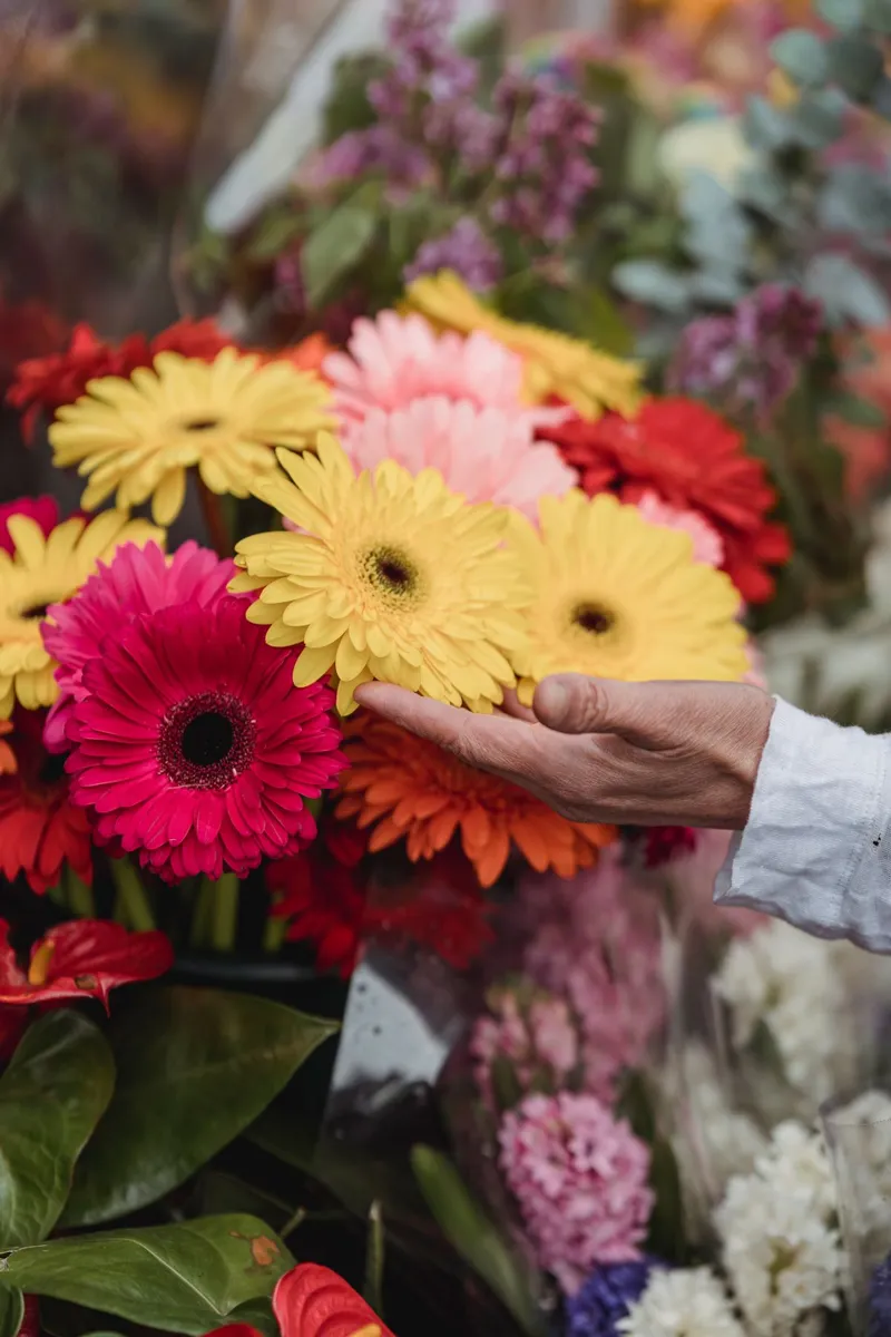 Mano eligiendo flores amarillas y rosas en el puesto